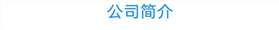 公司简介